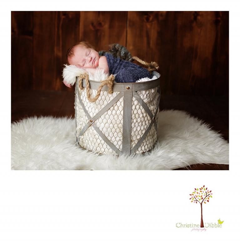 Best Sonora, CA newborn photographer Christine Dibble Photography takes studio photos of a baby boy as he sleeps in a chicken wire bucket during his newborn photography session.