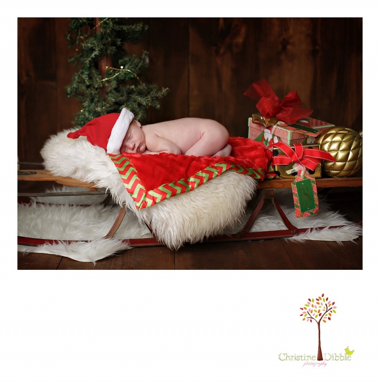 Best Sonora, CA newborn photographer Christine Dibble Photography takes studio photos of a baby boy with Christmas props during his newborn photography session.