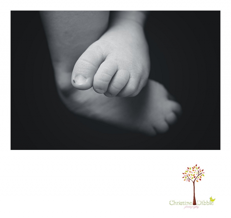 Tiny newborn toes are photographed during a Sonora, CA newborn photography session by best Sonora newborn photographer Christine Dibble Photography.