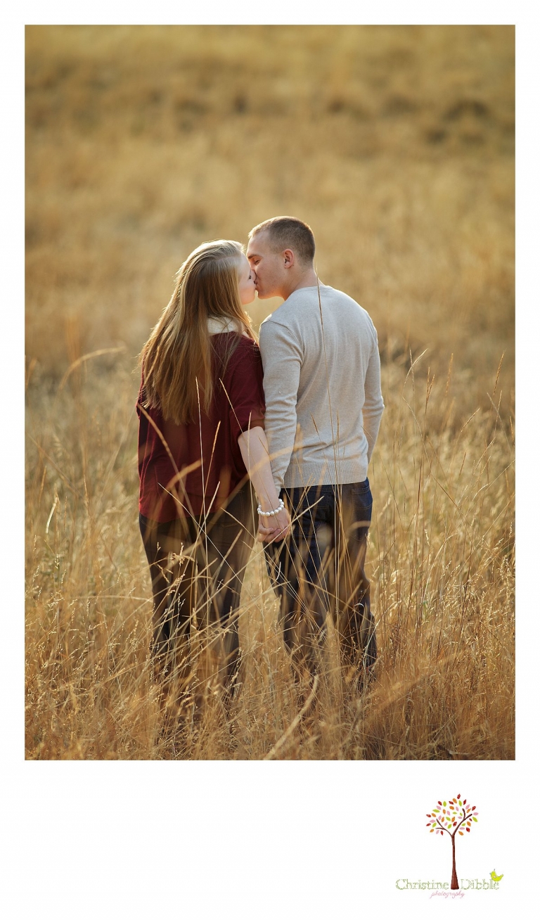 Sonora, CA couple's and engagement photographer Christine Dibble Photography takes romantic engagement style photos of a couple kissing as they walk through  a field near Twain Harte at sunset.