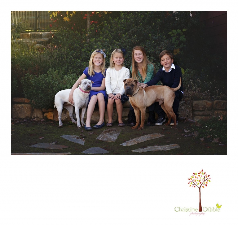Christine Dibble Photography, best Sonora family photographer, takes outdoor portraits of a blended family's new siblings and their dogs in their renovated backyard in Tuolumne.