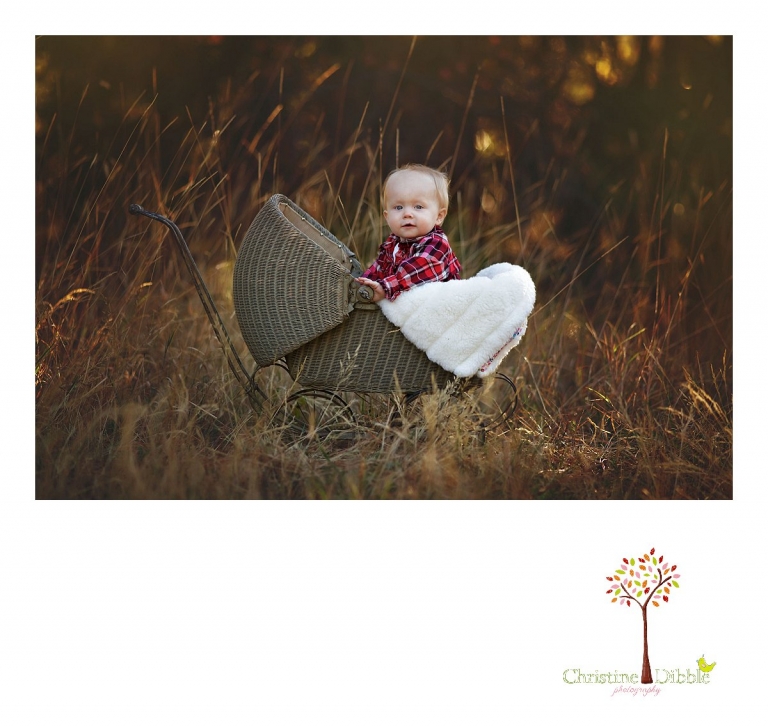 Christine Dibble Photography, child and baby photographer of Sonora, takes first birthday photos of a baby girl in the fall in Twain Harte, sitting in an antique doll pram in a field.
