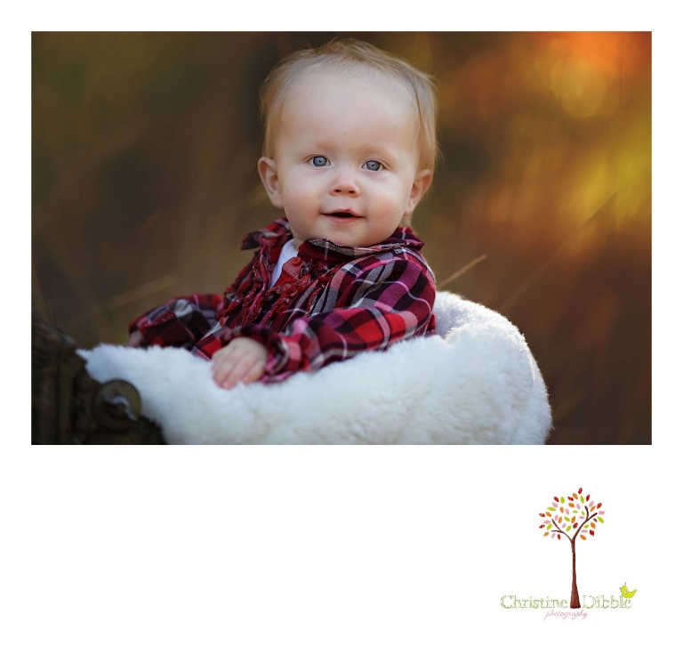 Christine Dibble Photography, child and baby photographer of Sonora, takes first birthday photos of a baby girl in the fall in Twain Harte.