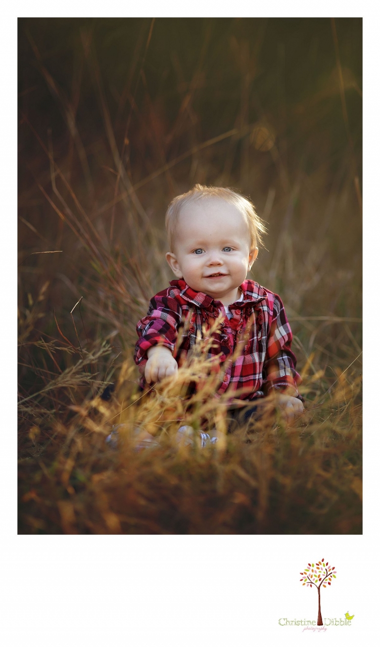 Christine Dibble Photography, child and baby photographer of Sonora, takes first birthday photos of a baby girl in the fall in Twain Harte as she smiles while sitting among tall field grass.