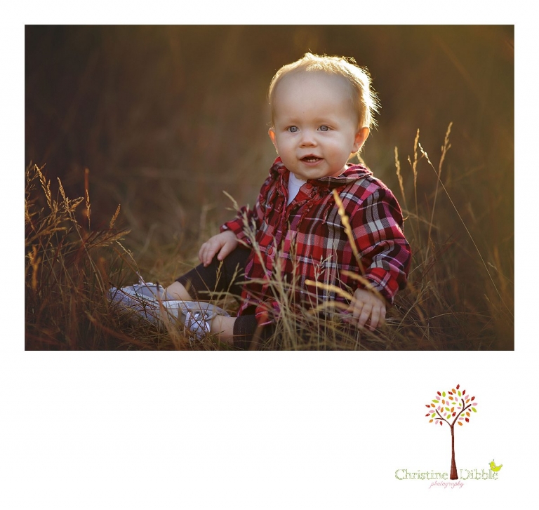 Christine Dibble Photography, child and baby photographer of Sonora, takes first birthday photos of a baby girl in the fall in Twain Harte.