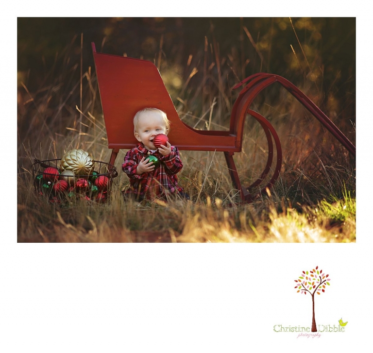 Christine Dibble Photography, child and baby photographer of Sonora, takes first birthday photos of a baby girl in the fall in Twain Harte as she sits by an antique red sleigh with Christmas ornaments.