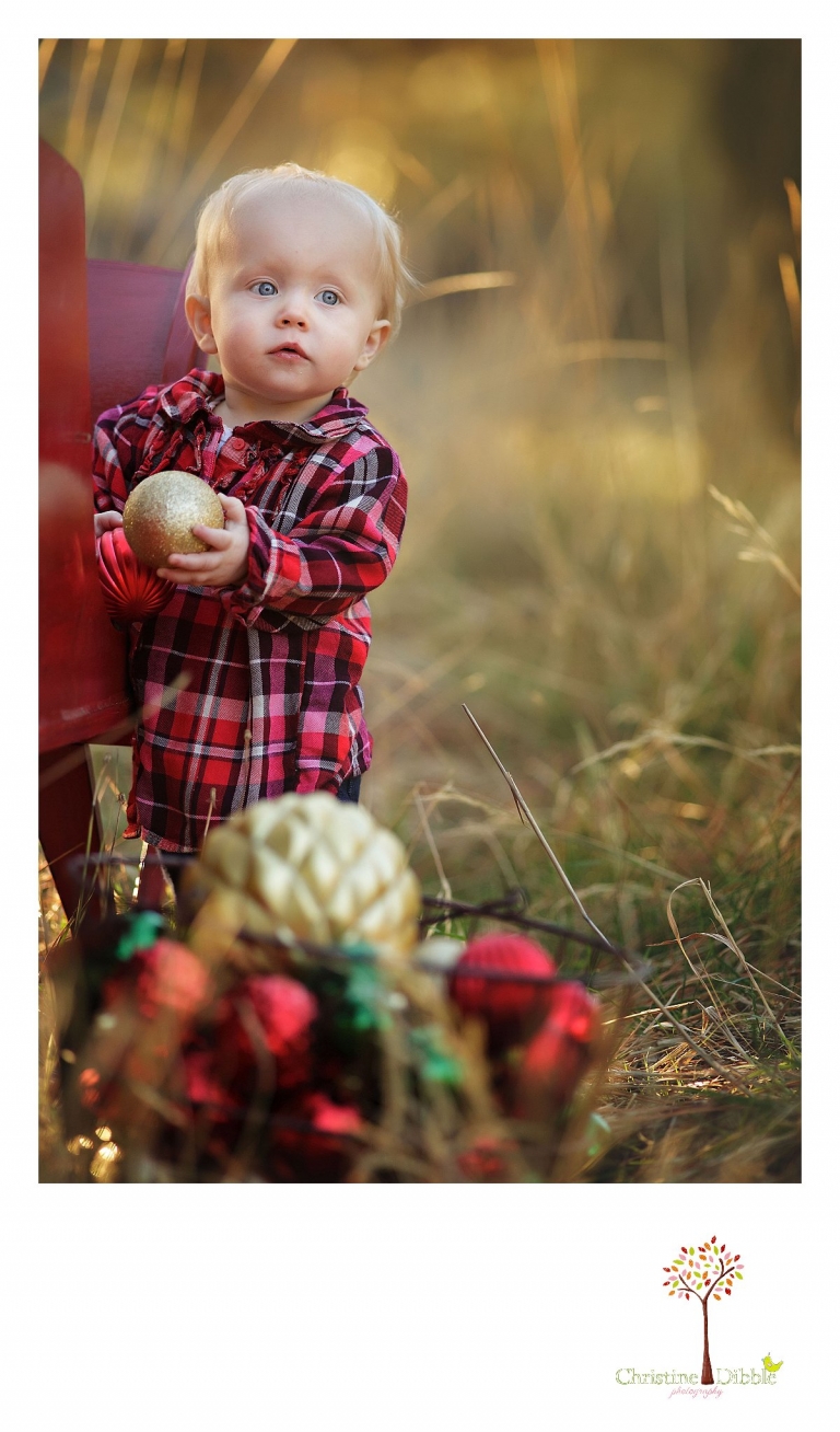 Christine Dibble Photography, child and baby photographer of Sonora, takes first birthday photos of a baby girl in the fall in Twain Harte posing by an antique red sleigh.