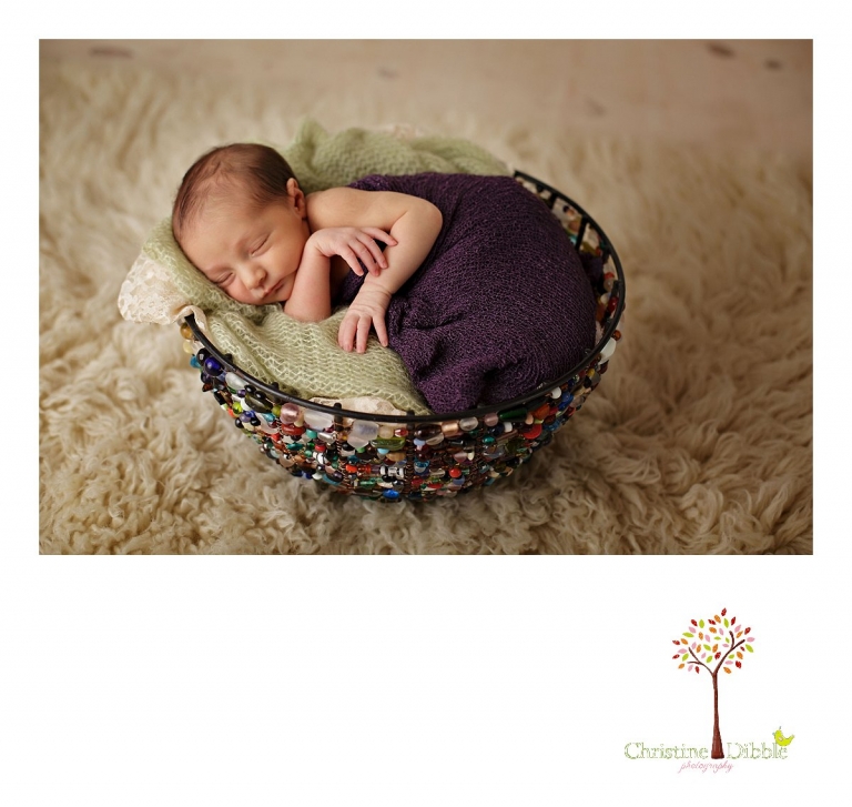 Best Sonora newborn photographer Christine Dibble Photography takes portraits of an eight day old newborn baby girl as she sleeps in a glass beaded bowl on a flokati.