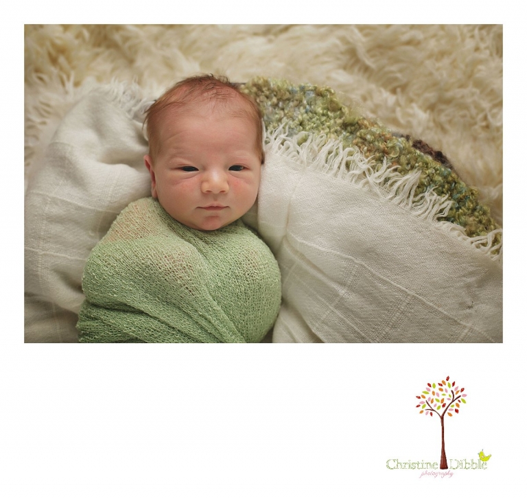 Sonora newborn photography session of an awake baby boy in a green wrap on cream layers by Christine Dibble Photography.