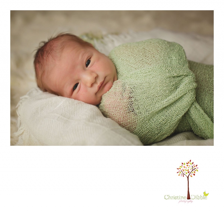 Sonora newborn photography session by Christine Dibble Photography captures a baby boy looking at the camera while in a green wrap.