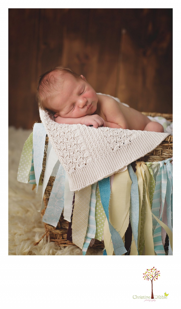 Sonora newborn photography captures images of a baby boy sleeping in big sister's basket decorated with a fabric strip banner during a session by Christine Dibble Photography.