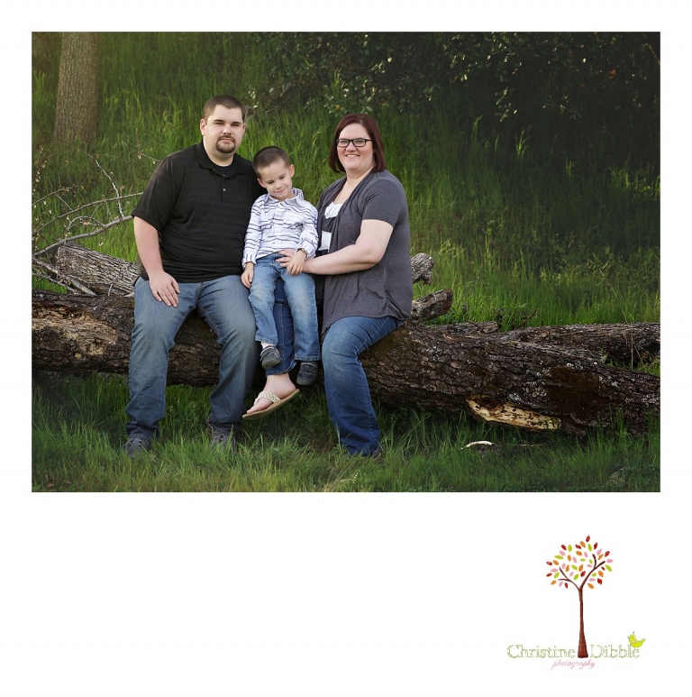 Sonora family photographer Christine Dibble Photography takes outdoor family photos at Indigeny Reserve of a family of three on a fallen tree.