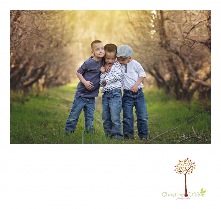 Sonora family photographer Christine Dibble Photography takes outdoor family photos at Indigeny Reserve of three little boys in the apple orchard rows.