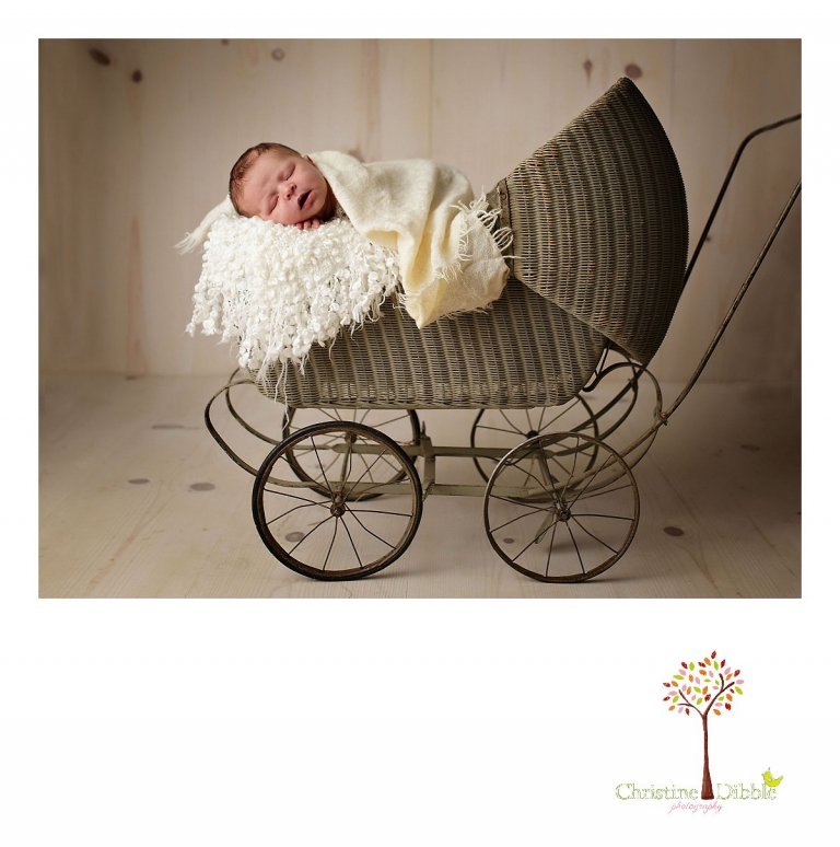 Best Sonora newborn photographer Christine Dibble Photography takes indoor studio photos of a newborn baby girl sleeping in an antique doll carriage.