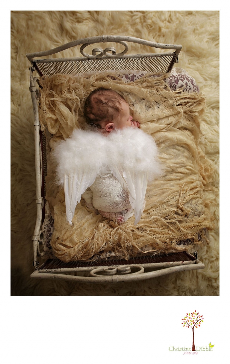 Best Sonora newborn photographer Christine Dibble Photography takes indoor studio photos of a newborn baby girl sleeping in angel wings on a tiny bed with an antique Victorian baby shawl.