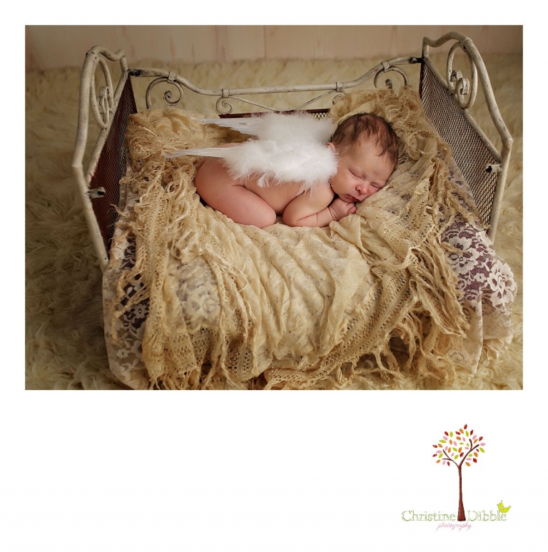 Best Sonora newborn photographer Christine Dibble Photography takes indoor studio photos of a newborn baby girl sleeping on a tiny iron bed draped with a Victorian baby shawl while wearing white feathered angel wings.