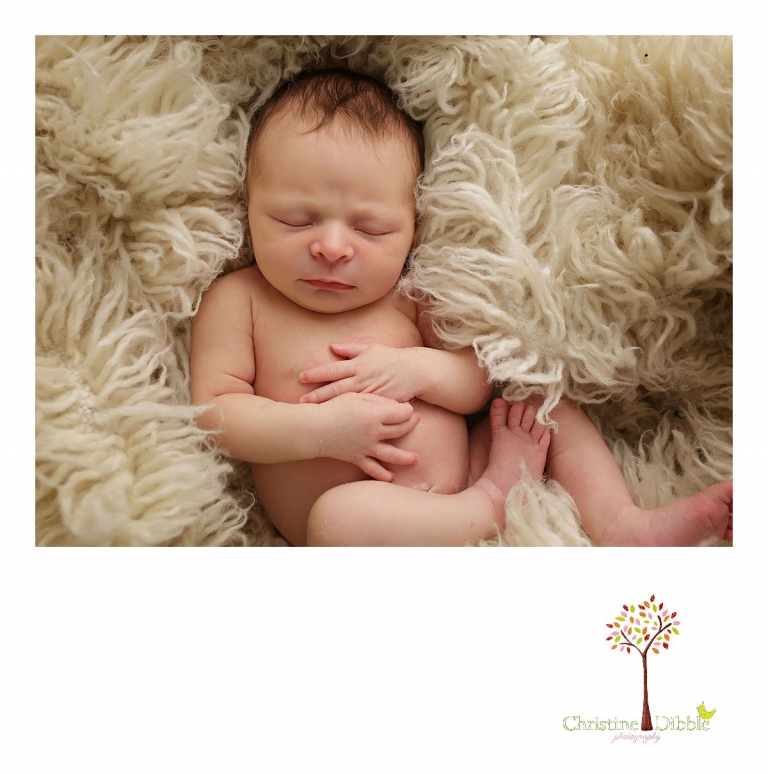 Best Sonora newborn photographer Christine Dibble Photography takes indoor studio photos of a newborn baby girl sleeping in a flokati rug.