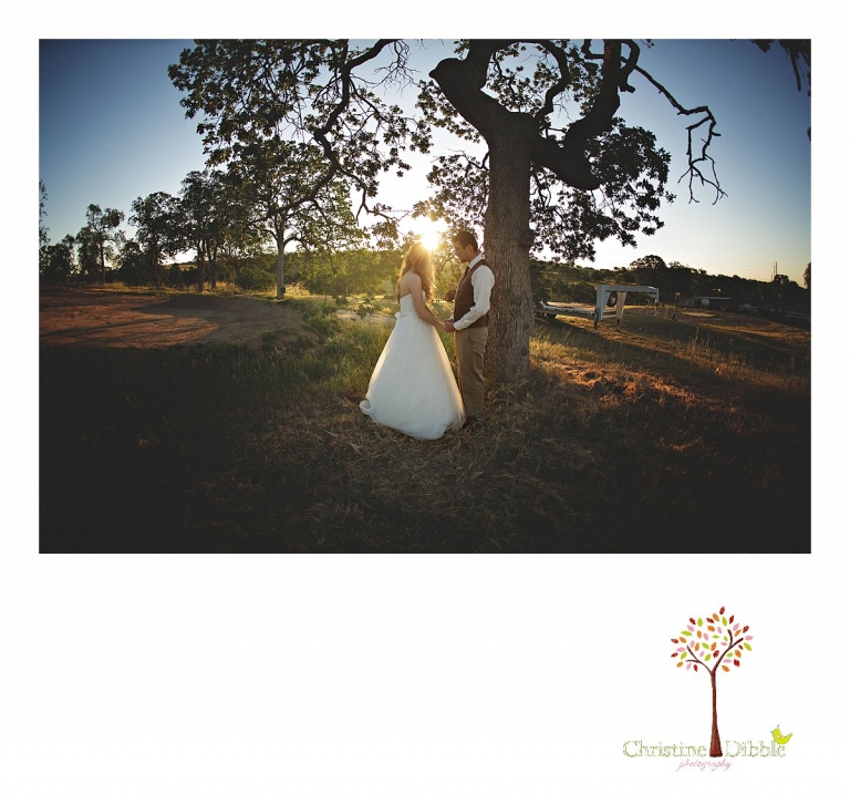 Don Pedro Hacienda photographer, Sonora wedding photographer Christine Dibble Photography photographs portraits of a bride and groom as they pray under an oak tree at sunrise before their wedding ceremony.