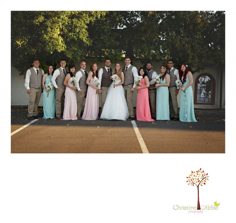 The full bridal party is photographed in a group portrait by Don Pedro Hacienda photographer, Sonora wedding photographer Christine Dibble Photography.