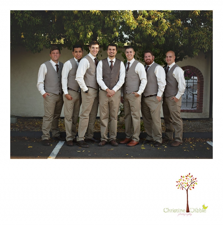 The groom and his groomsmen are photographed in tan suits by Don Pedro Hacienda photographer, Sonora wedding photographer Christine Dibble Photography.