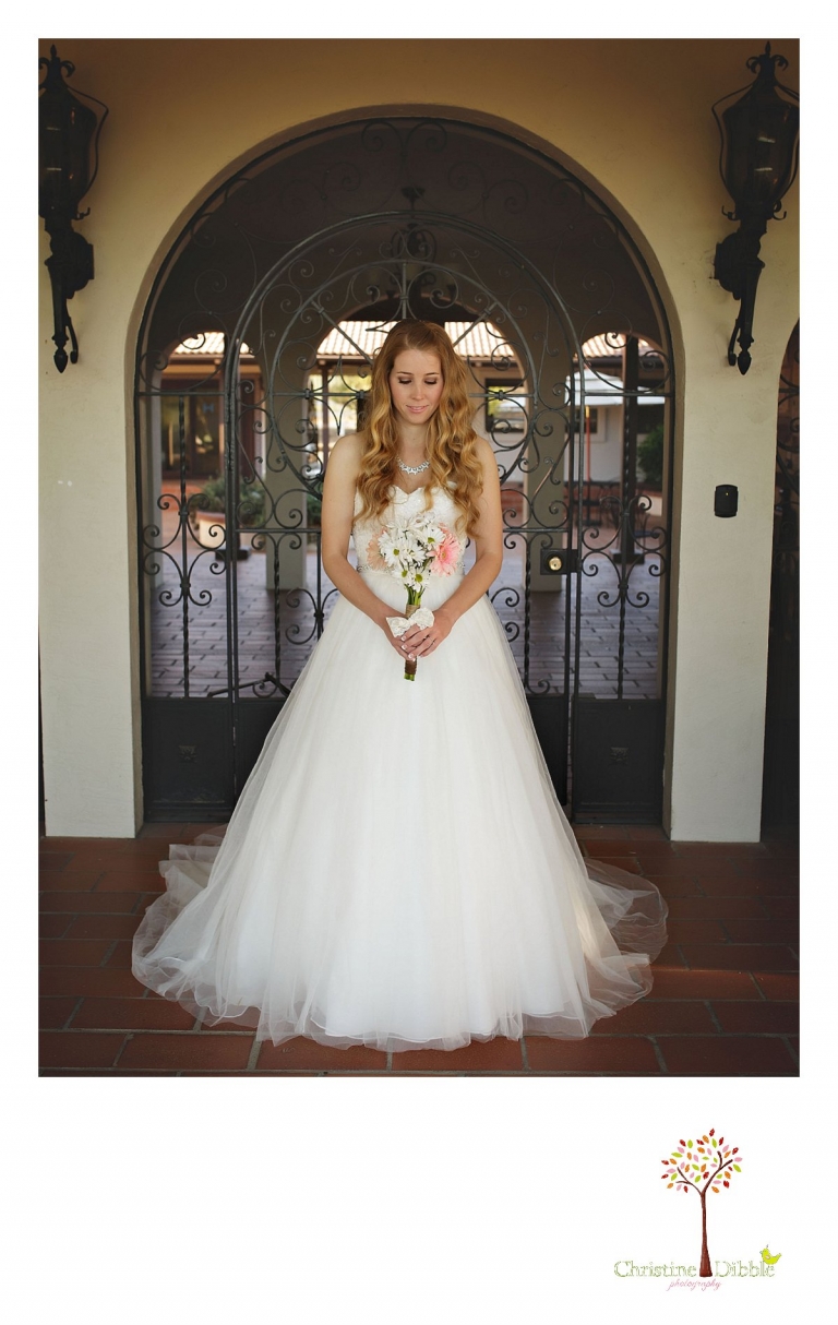 Don Pedro Hacienda photographer, Sonora wedding photographer Christine Dibble Photography photographs a bride in front of a scrolled iron gate.
