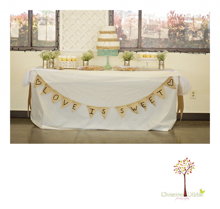 The cake table at Peter and Chrissy's wedding is photographed by Don Pedro Hacienda photographer, Sonora wedding photographer Christine Dibble Photography .