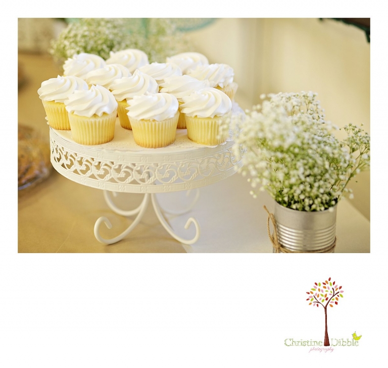 Cupcakes on the wedding cake table are photographed by Don Pedro Hacienda photographer, Sonora wedding photographer Christine Dibble Photography.