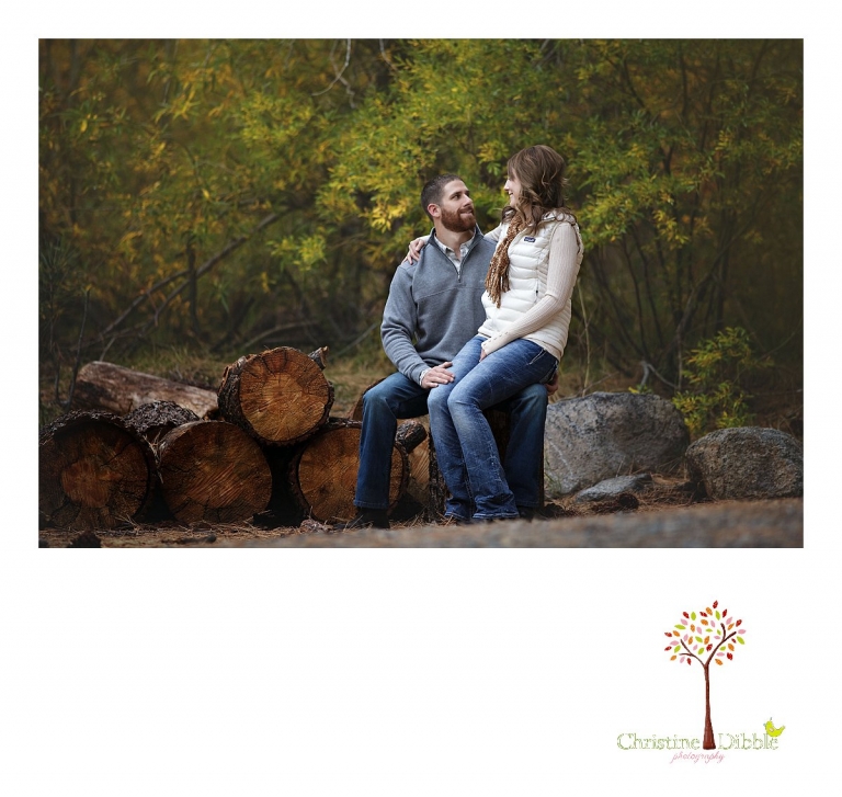 Sonora and Reno family and wedding photographer Christine Dibble Photography takes couple portraits of a bride and groom sitting on wood rounds at Galena Park last fall.