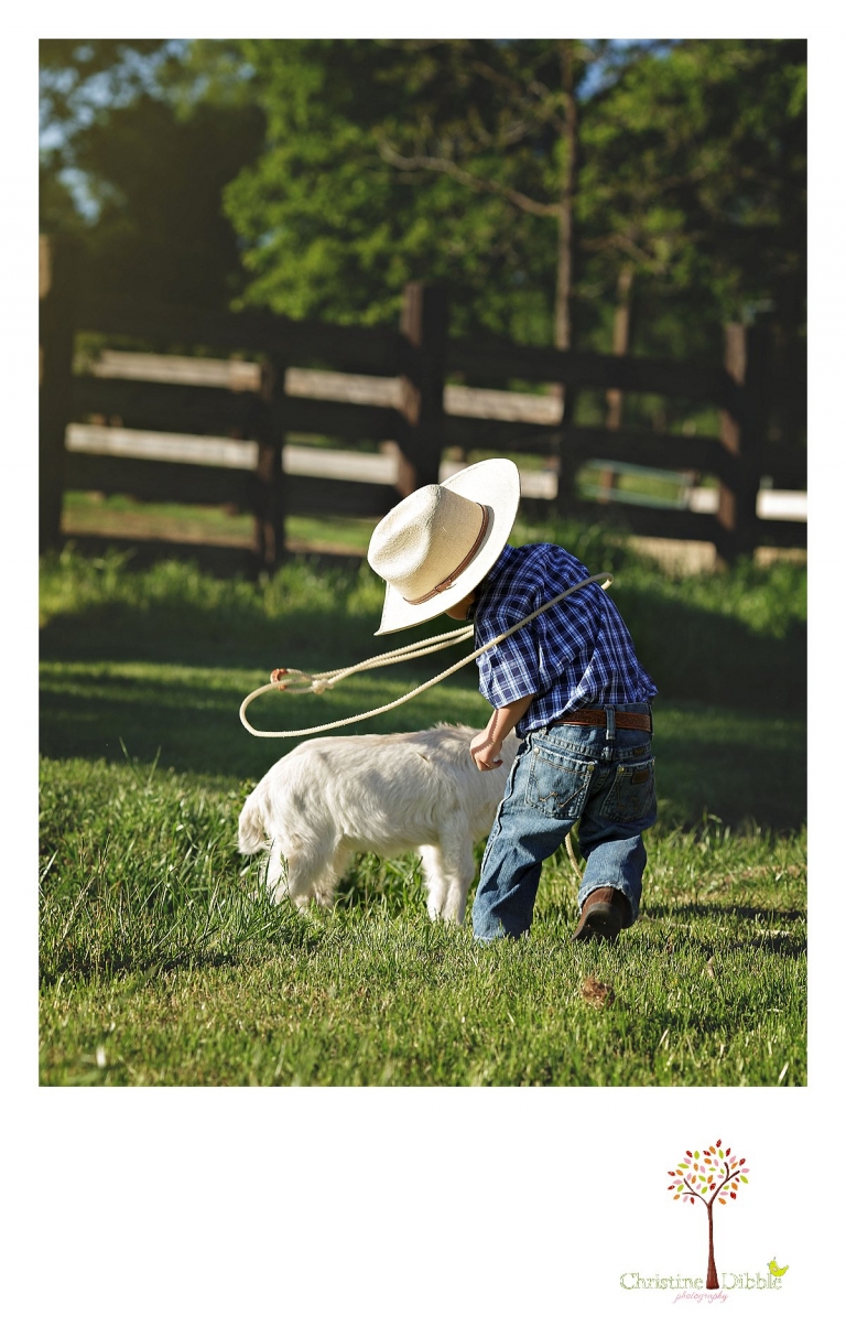 Sonora child photography by Christine Dibble Photography captures a three year old boy attempting to rope a goat with a lasso.