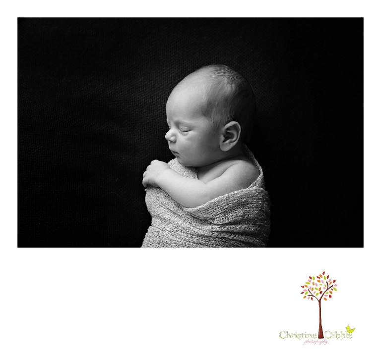 Best Sonora newborn photographer Christine Dibble Photography takes photos of a nine day old baby boy as he sleeps in a wrap for a black and white photo.