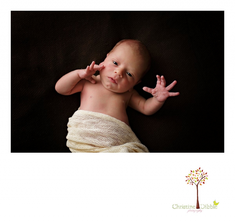 Best Sonora newborn photographer Christine Dibble Photography takes photos of a nine day old baby boy looking at the camera.