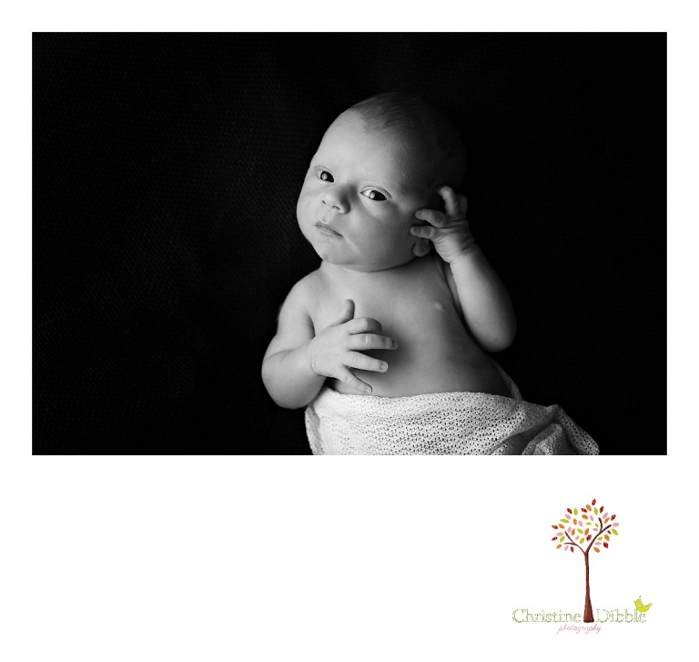 Best Sonora newborn photographer Christine Dibble Photography takes photos of a nine day old baby boy watching the camera in a black and white image.