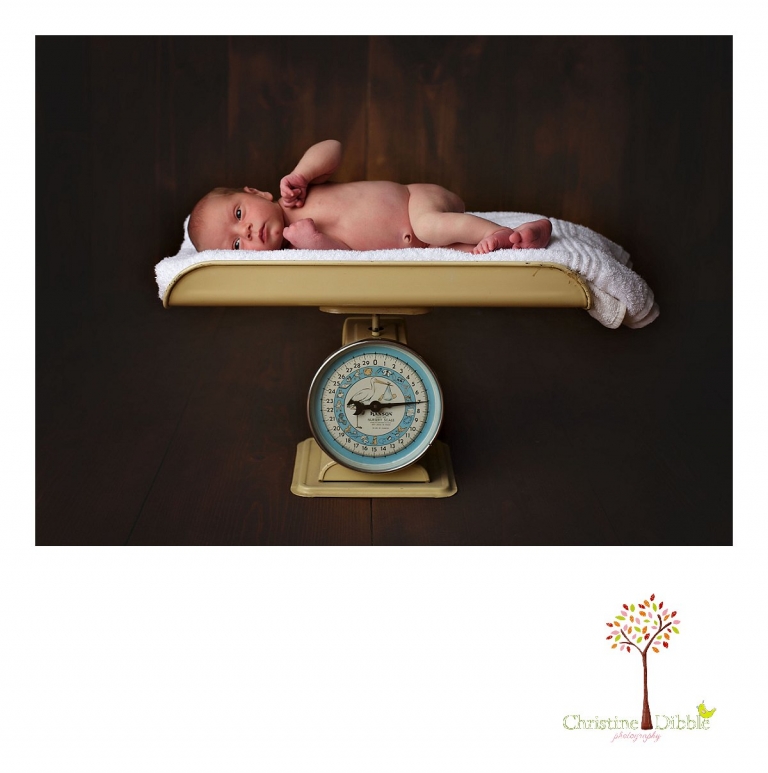 Best Sonora newborn photographer Christine Dibble Photography takes photos of a nine day old baby boy on an antique scale.