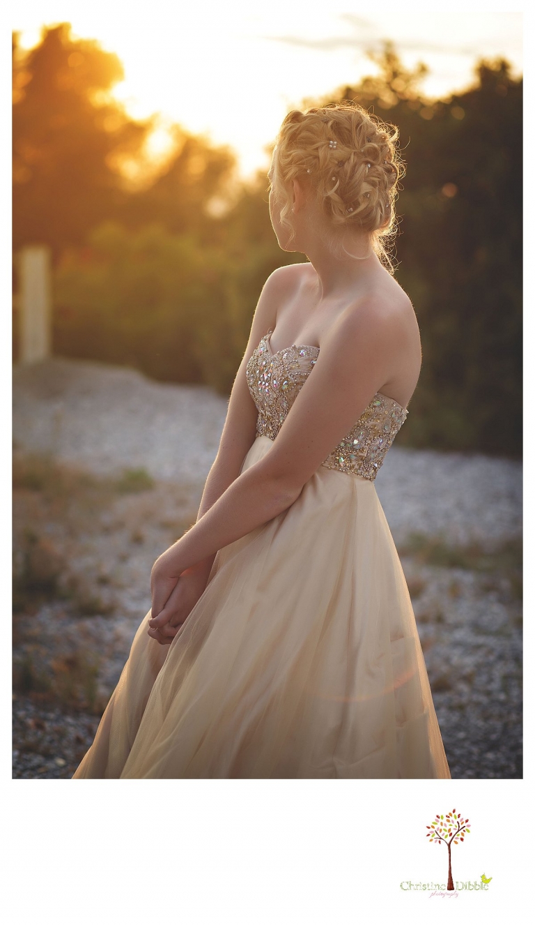 Sonora senior portrait photographer Christine Dibble Photography takes portraits of an eighth grade graduate in a formal gown with the setting sun behind her.