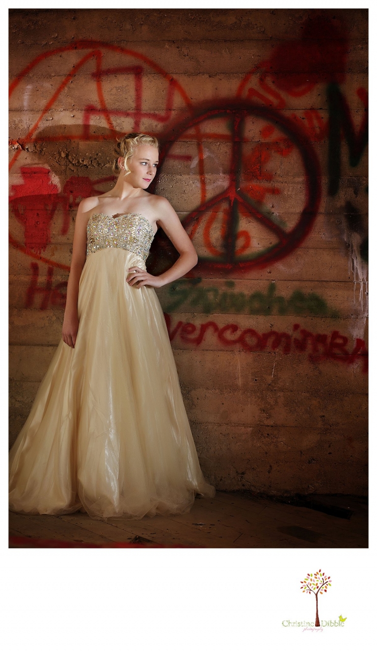 Sonora senior portrait photographer Christine Dibble Photography takes portraits of an eighth grade graduate in a formal gown in front of a graffiti wall in an abandoned house.