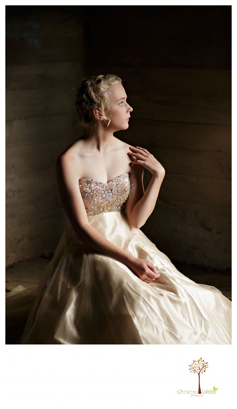 Sonora senior portrait photographer Christine Dibble Photography takes portraits of an eighth grade graduate in a formal gown as she sits in an old house.
