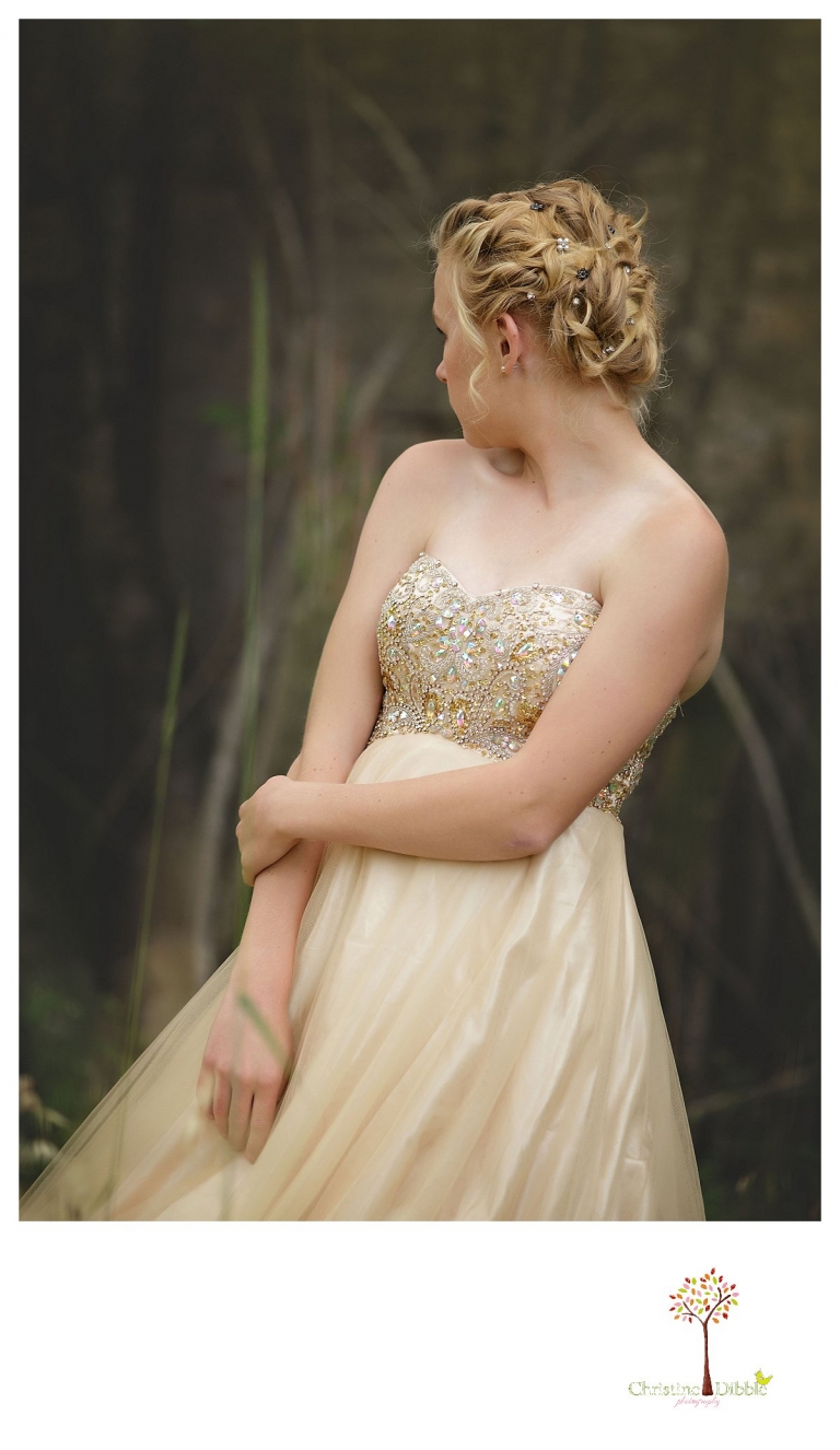 Sonora senior portrait photographer Christine Dibble Photography takes portraits of an eighth grade graduate in a formal gown looking away from the camera.