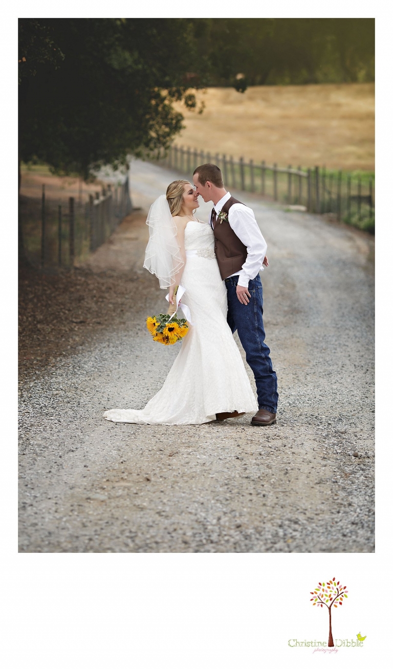 Sonora, CA wedding photographer Christine Dibble Photography takes portraits of a bride and groom as they rub noses on their wedding day.