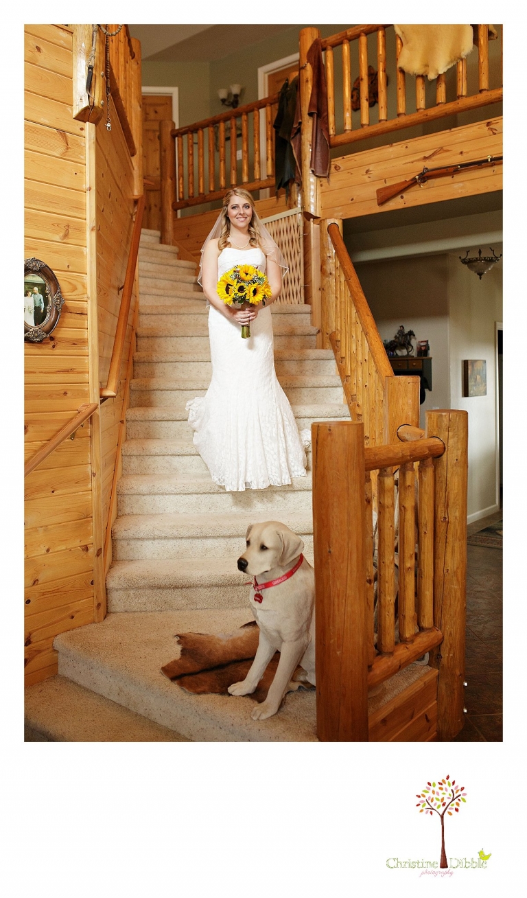 Sonora, CA wedding photography by Christine Dibble Photography takes a photo of the bride coming down the winding rustic staircase at Mother Lode Ranch.