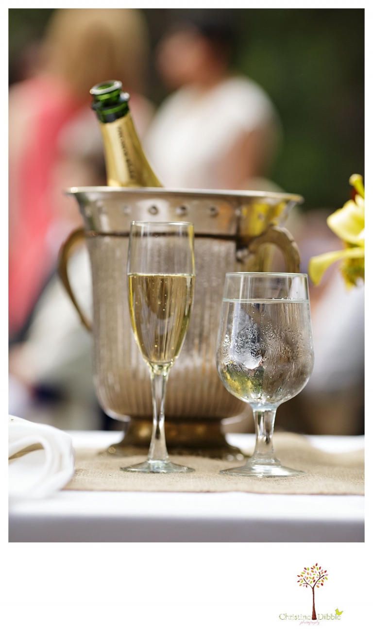 Sonora wedding photographer Christine Dibble Photography photographs a Twain Harte Tree Farm wedding and the champagne and glasses for the couple.
