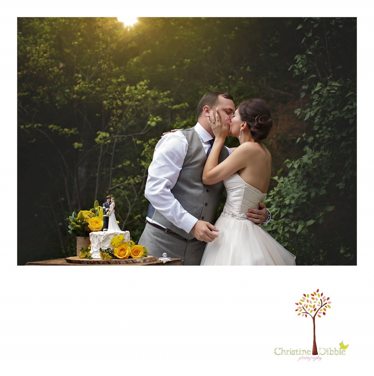 Sonora wedding photographer Christine Dibble Photography photographs a Twain Harte Tree Farm wedding and the couple kissing after cutting the cake.