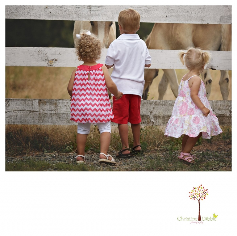 Twain Harte Tree Farm and Sonora child photographer Christine Dibble Photography takes photos of three visiting cousins and baby horses.