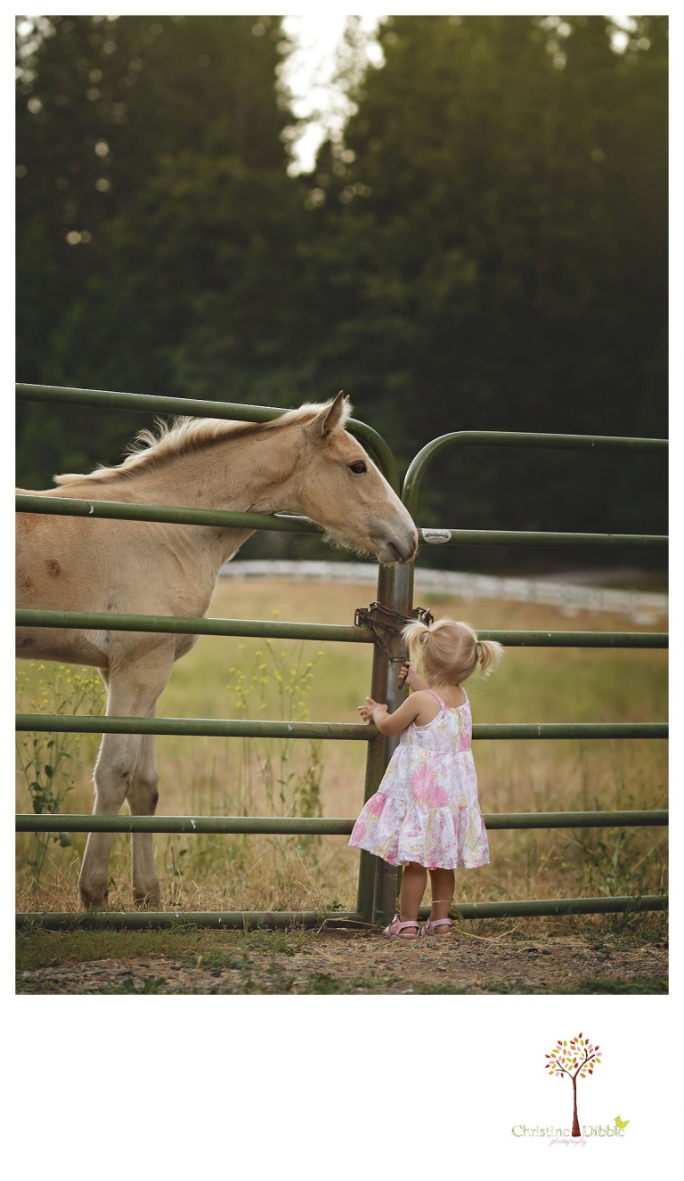 Twain Harte Tree Farm and Sonora child photographer Christine Dibble Photography takes photos of three visiting cousins and a little girl looking at a baby horse.