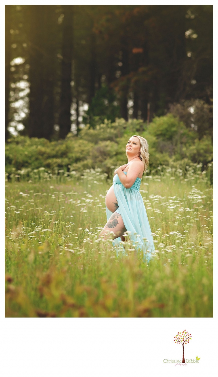 Sonora maternity photographer Christine Dibble Photography takes pregnancy portraits of a mom in a belly dress at sunset.