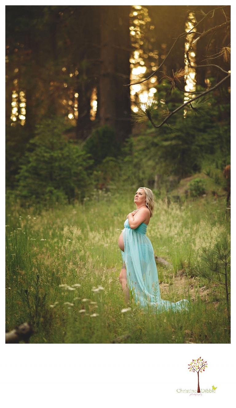 Sonora maternity photographer Christine Dibble Photography takes pregnancy photos of a mom in the forest with the sunset behind her. 