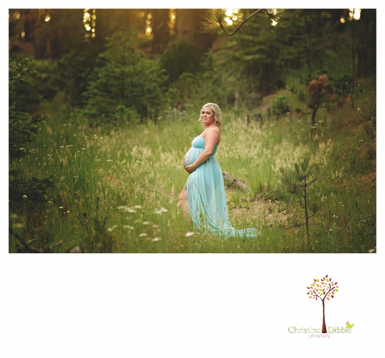 Sonora maternity photographer Christine Dibble Photography takes pregnancy photos in the forest of a mom in a blue belly dress.