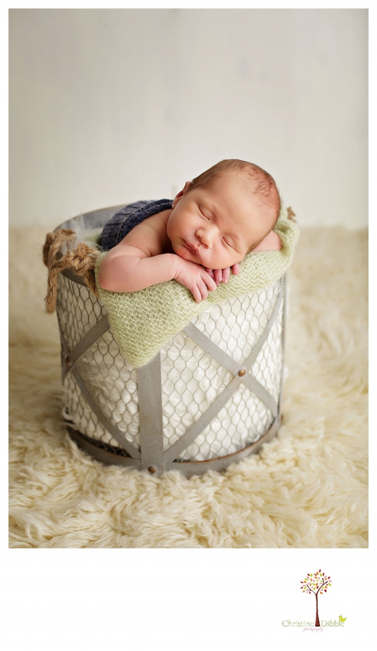 Sonora newborn and baby photographer Christine Dibble Photography takes indoor studio portraits of a baby boy in a chicken wire bucket.
