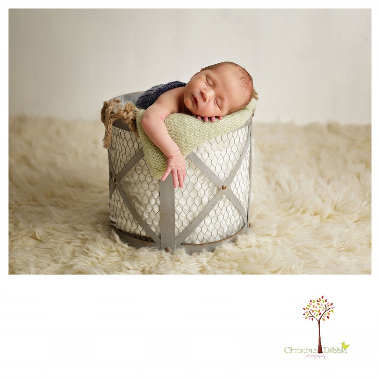 Sonora newborn and baby photographer Christine Dibble Photography takes indoor studio portraits of a baby boy sleeping in a fur-lined bucket.