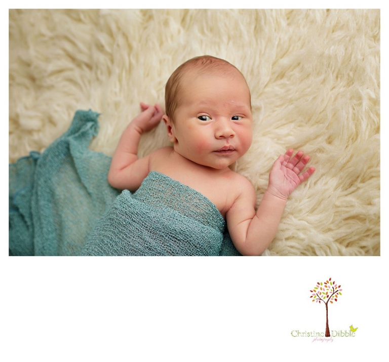 Sonora newborn and baby photographer Christine Dibble Photography takes indoor studio portraits of an awake baby looking around.