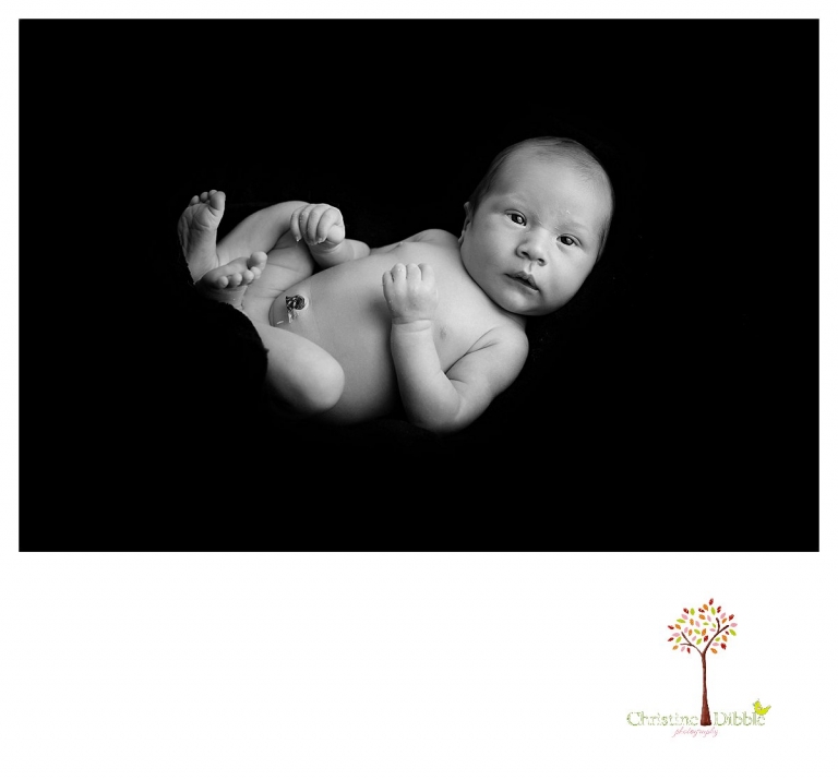 Sonora newborn and baby photographer Christine Dibble Photography takes indoor studio portraits in black and white on black cloth of an awake baby.